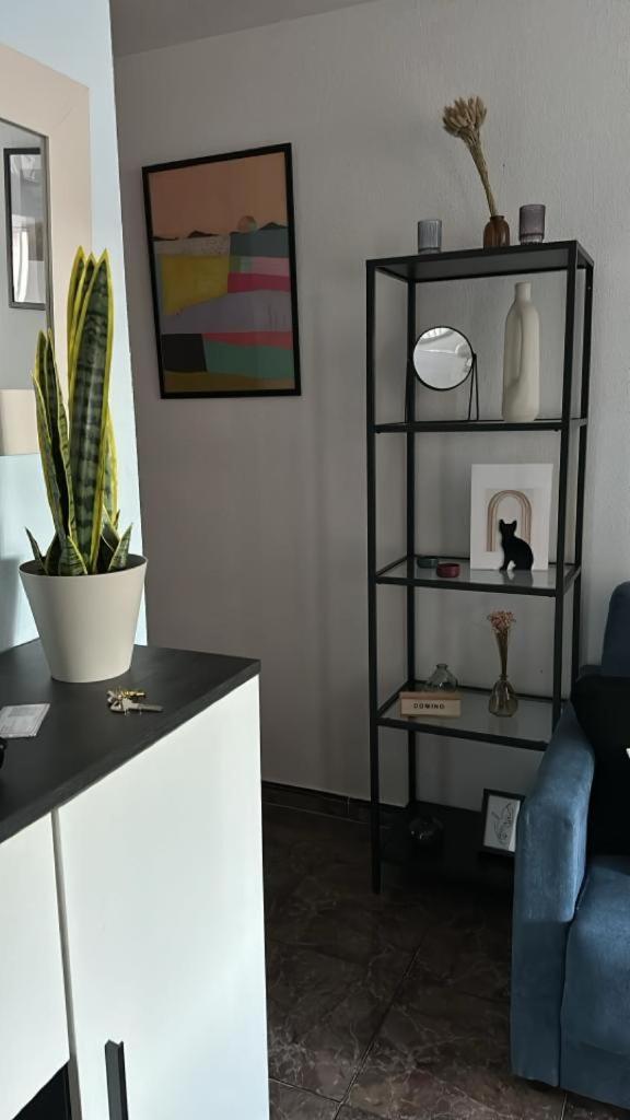 Playa De Los Naufragos Cozy Apartment With Pool Torrevieja Luaran gambar